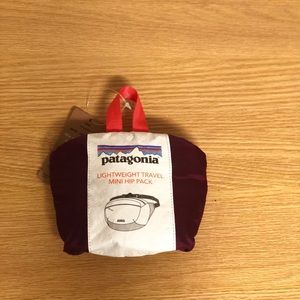 Patagonia fanny pack NWT!!